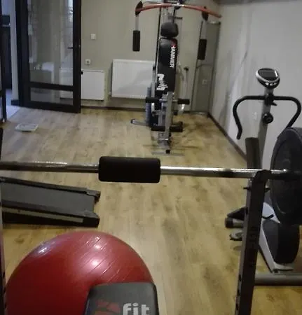 Apartament Mountain Mina