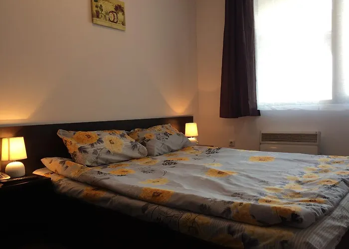 Apartment Mountain Mina Bansko