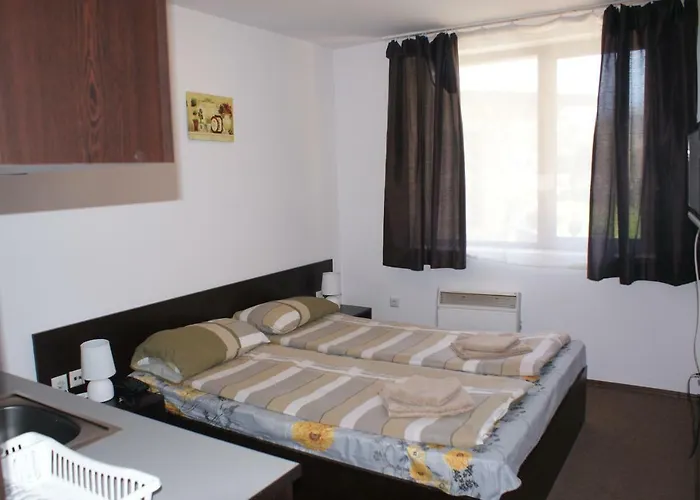 Mountain Mina Apartment *